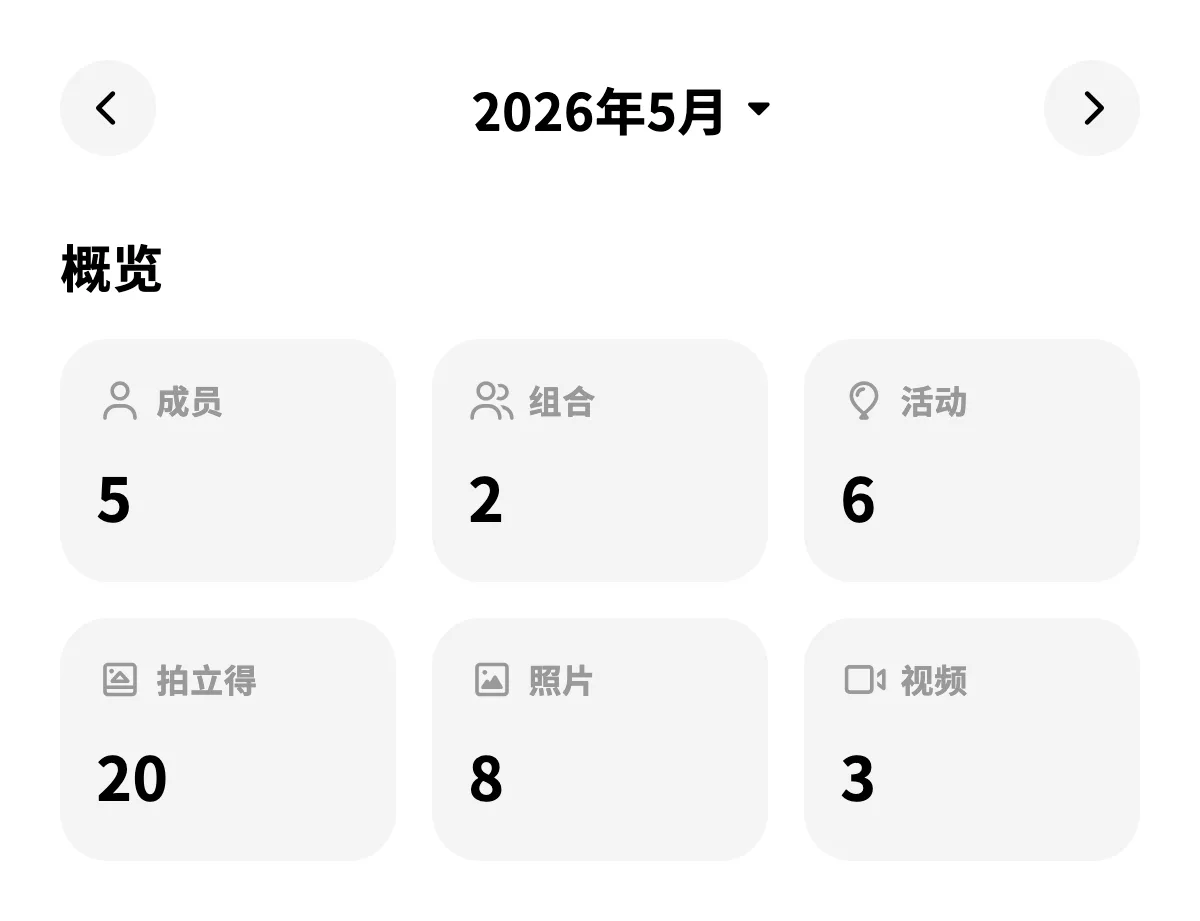 显示成员、组合、活动、拍立得、照片和视频数量的统计摘要